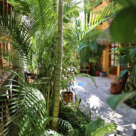 Hotel Bosque Caribe, 5Th Av. Zone Playa del Carmen Exteriör bild