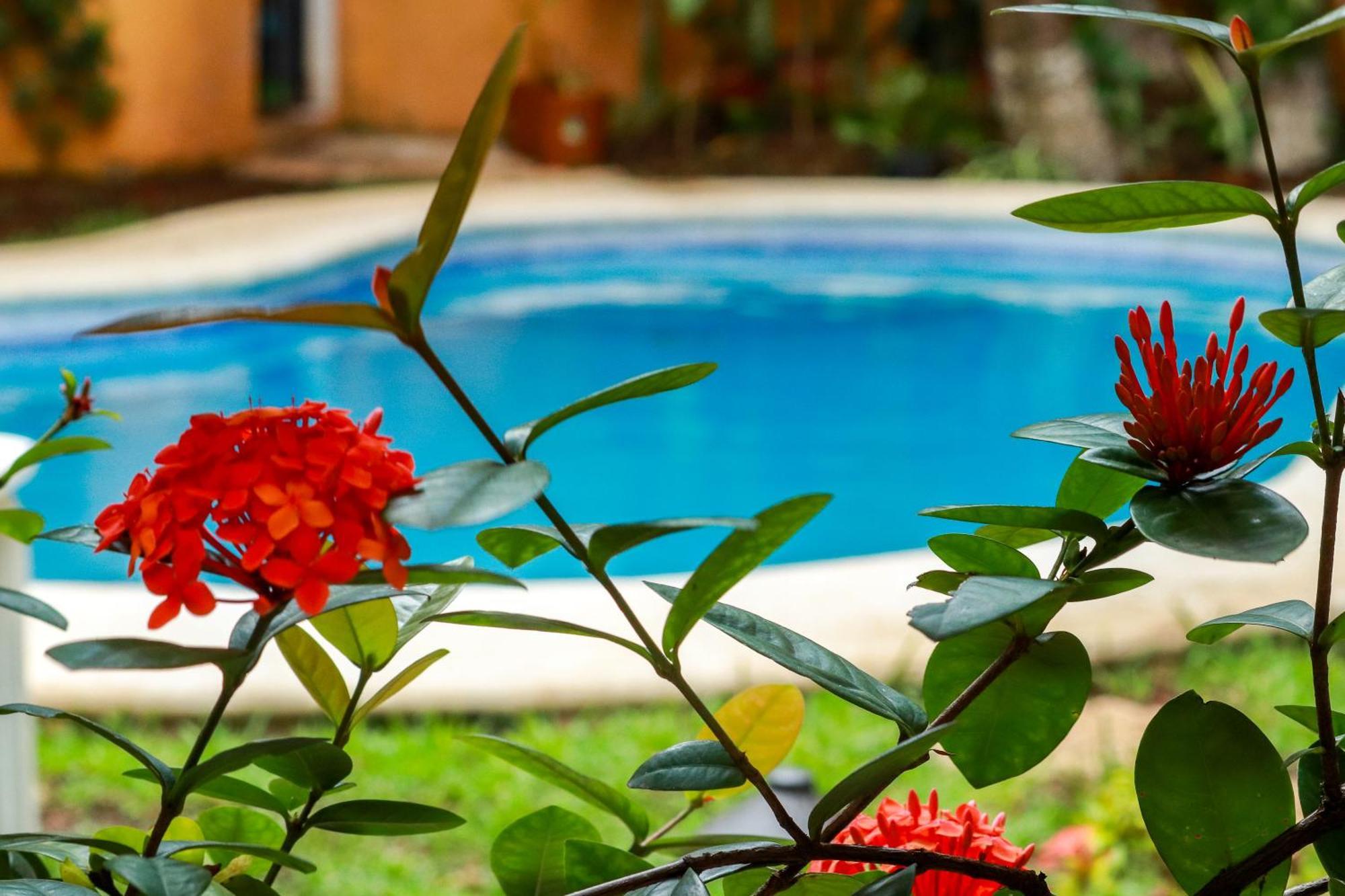 Hotel Bosque Caribe, 5Th Av. Zone Playa del Carmen Exteriör bild