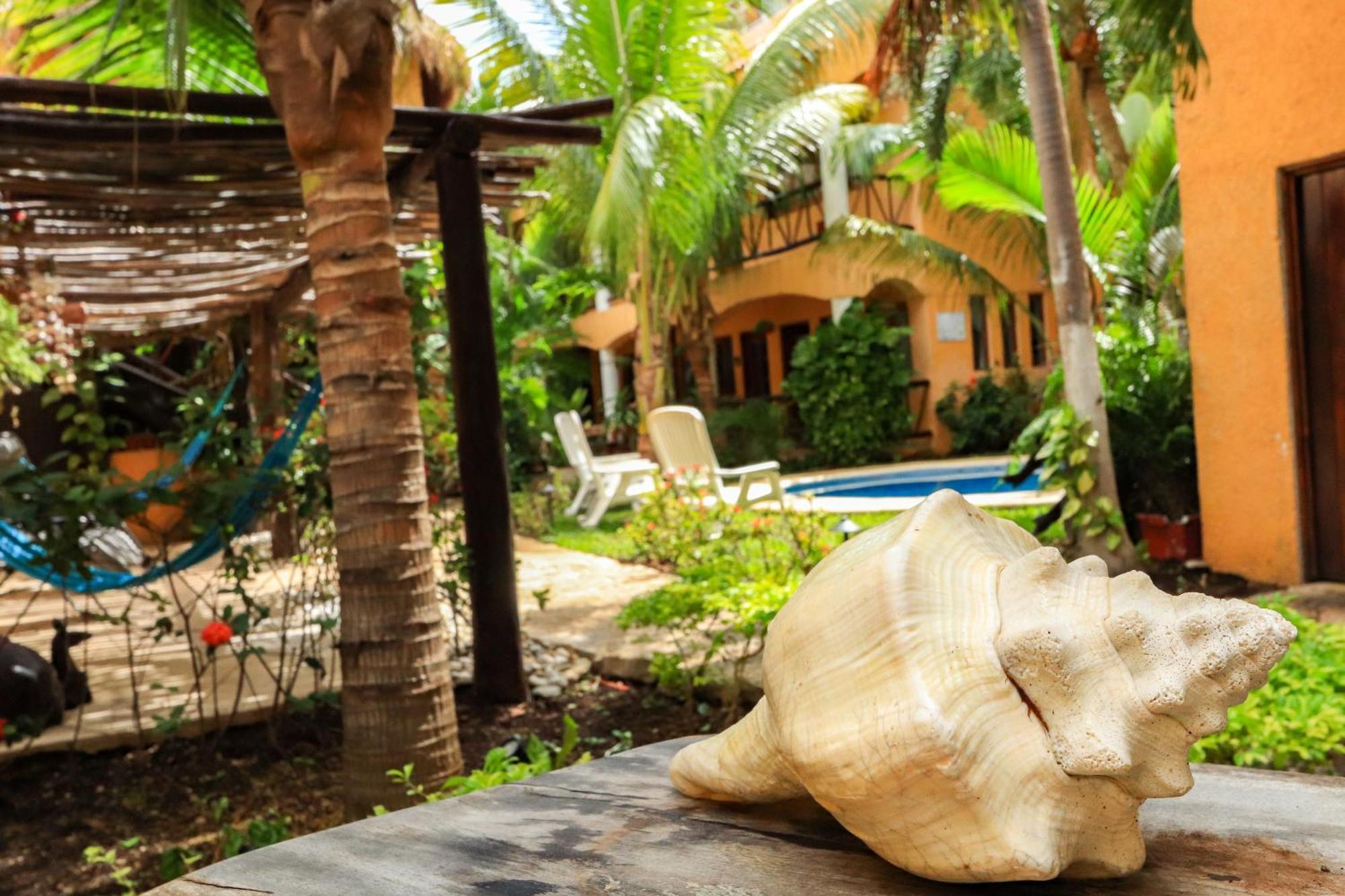 Hotel Bosque Caribe, 5Th Av. Zone Playa del Carmen Exteriör bild