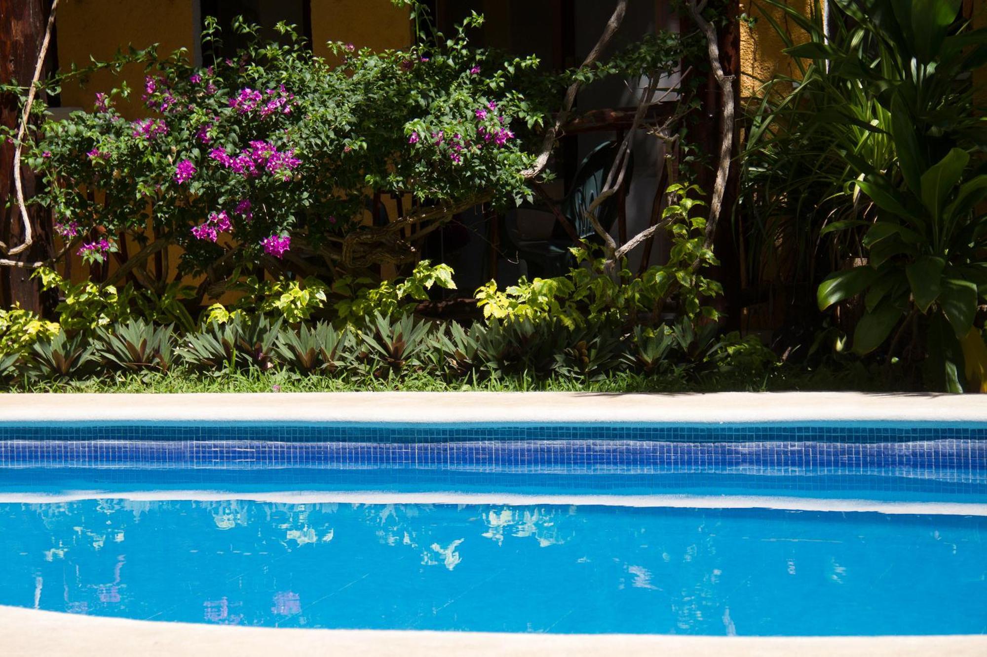 Hotel Bosque Caribe, 5Th Av. Zone Playa del Carmen Exteriör bild