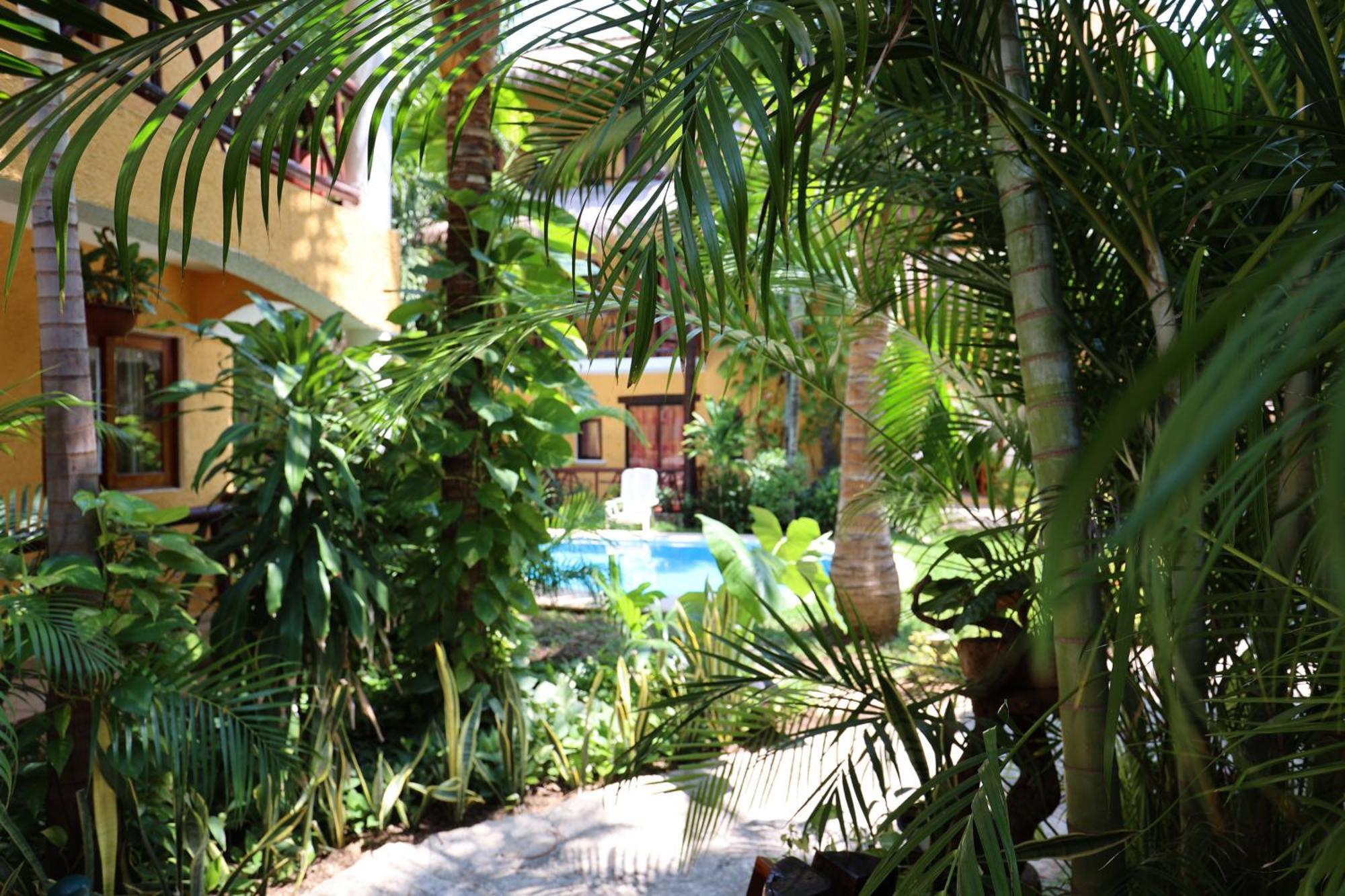 Hotel Bosque Caribe, 5Th Av. Zone Playa del Carmen Exteriör bild