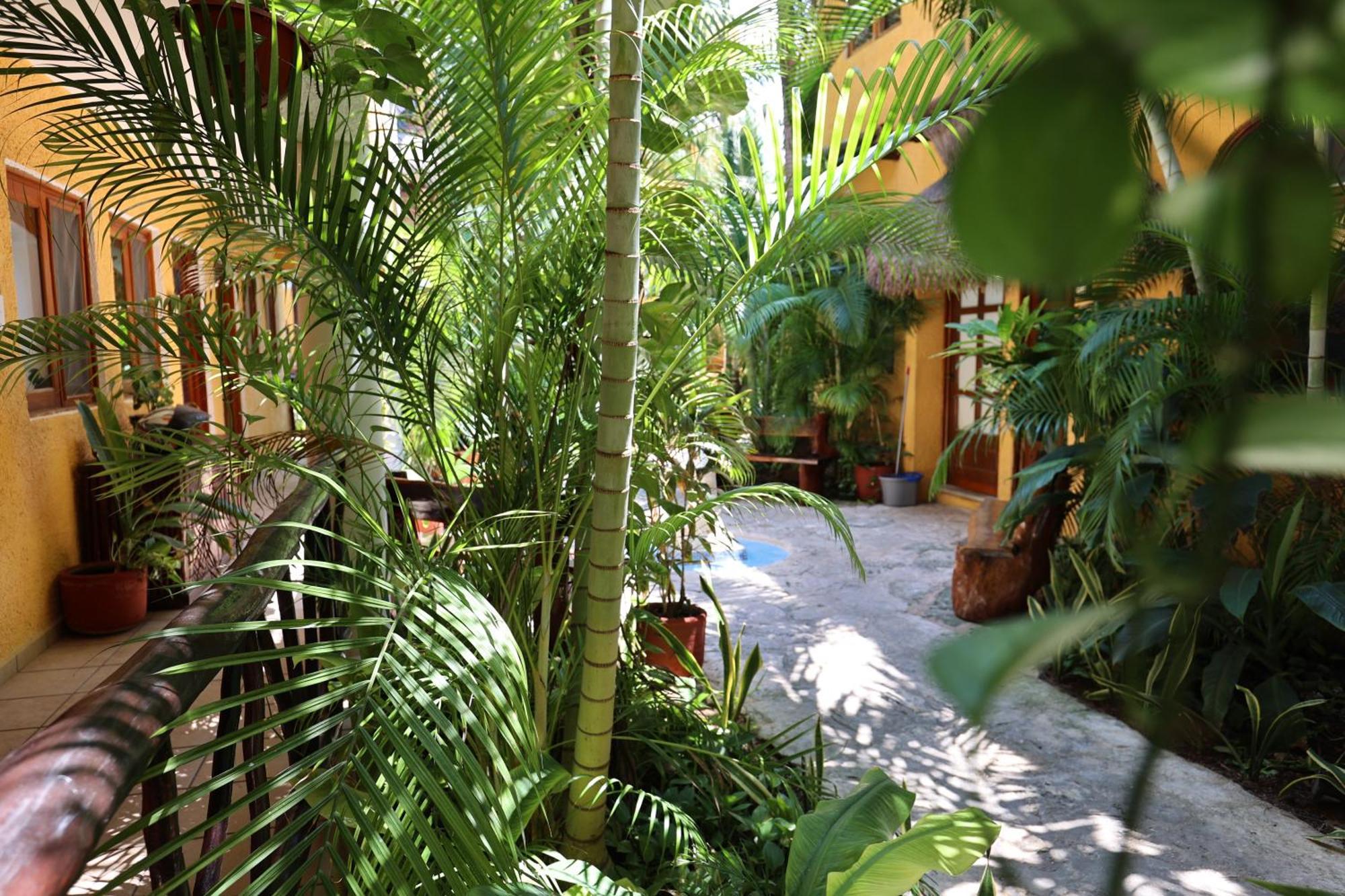 Hotel Bosque Caribe, 5Th Av. Zone Playa del Carmen Exteriör bild