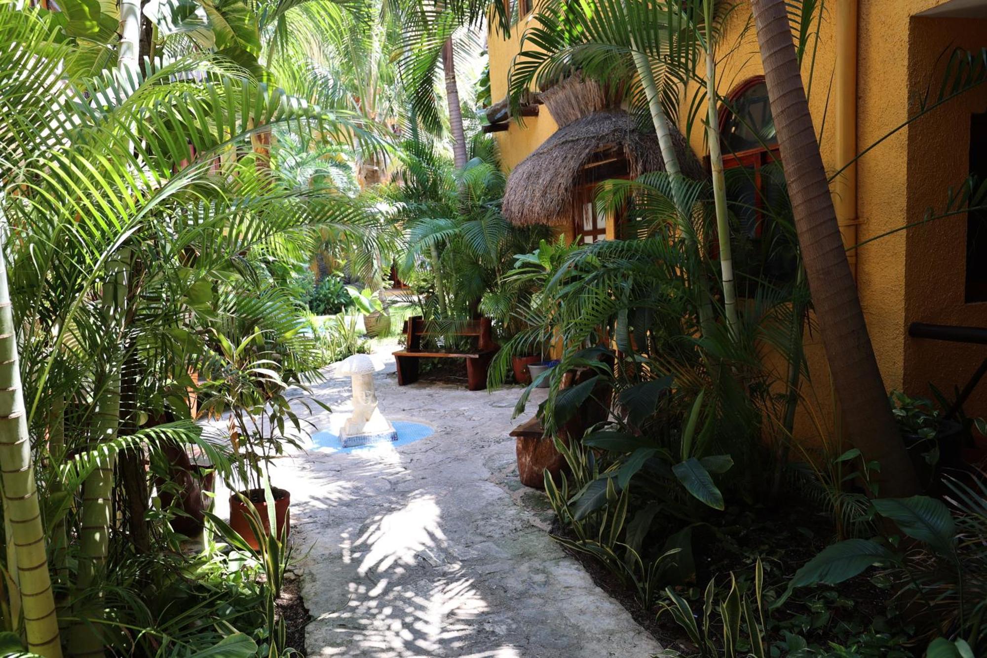 Hotel Bosque Caribe, 5Th Av. Zone Playa del Carmen Exteriör bild